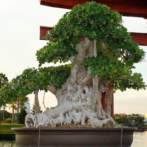 Meet your Posher, Claudia